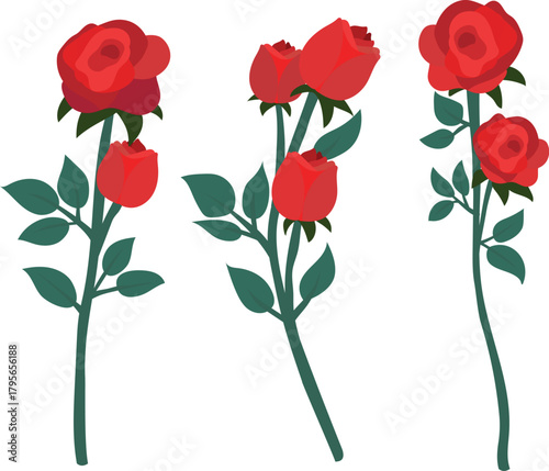 Red roses set. Flowers, plants with rosebuds, branches with green leaves isolated on white. Vector illustration for decoration, florist job, floral shop, wedding bouquet, and valentine greeting card.