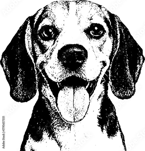 Beagle in retro xerography halftone engraving style with bold grain and bright contrast, isolated on transparent background in expressive black and white.