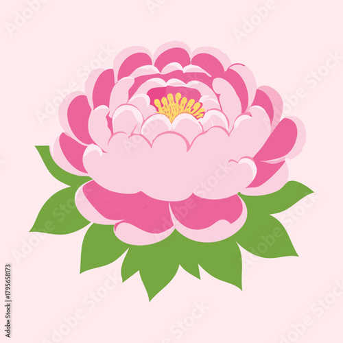 Beautiful Pink Peony Plant Flower Head Illustration with Green Leaves Displaying a Soft Watercolor Texture