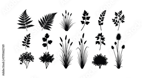 Collection of various botanical illustrations depicting detailed foliage and plant life