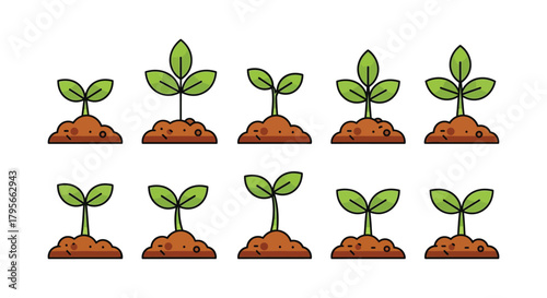 Illustration of plant growth stages from seedling to young plant development