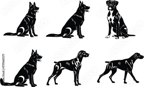 Dog breed silhouette vector set in sitting and standing poses, muscular detail, clean lines, canine anatomy for pet and guard themes.