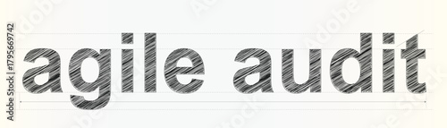 agile audit