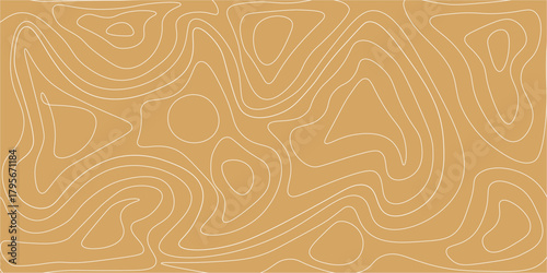 Abstract design with seamless pattern with lines topographic map.  salmon fillet texture, fish pattern. background with stripes salmon.