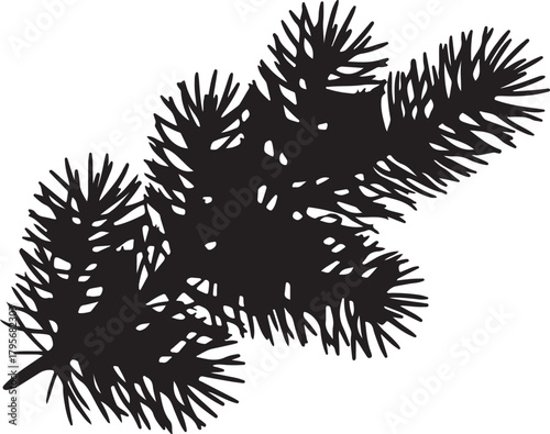 Detailed silhouette of pine tree branches evokes natural simplicity against a transparent backdrop