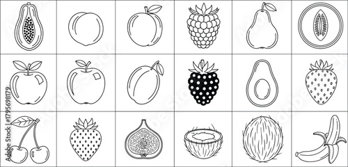 Fruit icon set, black and white line drawings, stylized produce illustrations, educational fruit grid, botanical outline vector, healthy food symbols