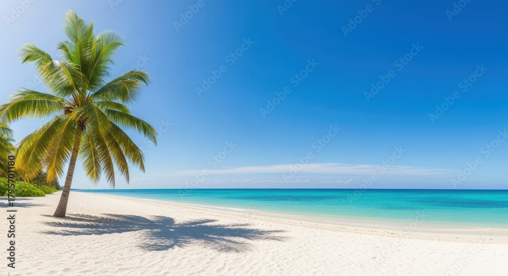 Fototapeta premium A serene tropical beach with a lone palm tree casting a shadow on the white sand under a clear blue sky and turquoise ocean water