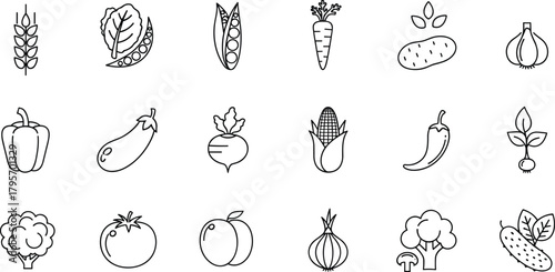 Vegetable and fruit icons, black and white line set, healthy produce illustration, farming and culinary symbols, botanical outline vector collection