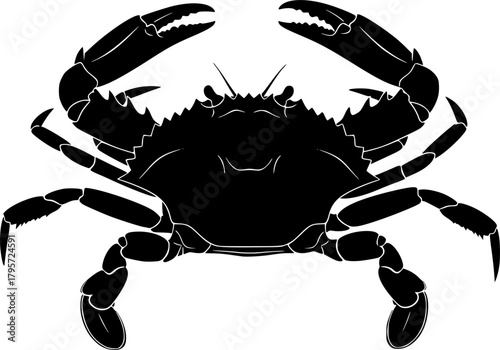 Blue Crab Silhouette. This image shows a black silhouette of a Black crab, also referred to as a crab outline or crustacean shape. Vector clipart illustration design