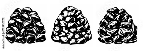 Three piles of black berries isolated on a  detailed fruit illustration