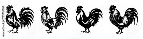 Striking rooster silhouettes a triumphant collection of four classic farmyard fowl poses