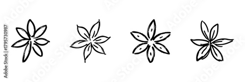 Star Anise Flower Line Icon Set In Doodle Style. Aromatic Spice, Culinary Ingredient, And Herbal Medicine Outline Sketch Collection. Hand Drawn Isolated Vector Illustration