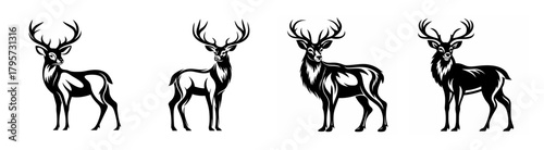 Majestic stags series elegant black and white wildlife art featuring four diverse deer poses