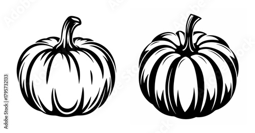 Two detailed sketch style pumpkins side by side perfect for fall and halloween designs graphics asset