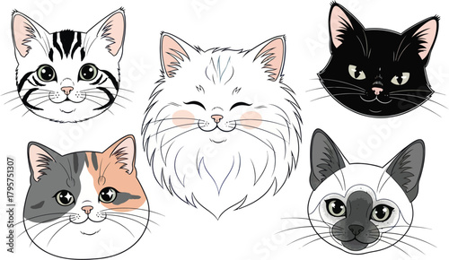 Charming collection of diverse cat faces, each with unique expressions and adorable features, perfect for playful designs and pet lovers.