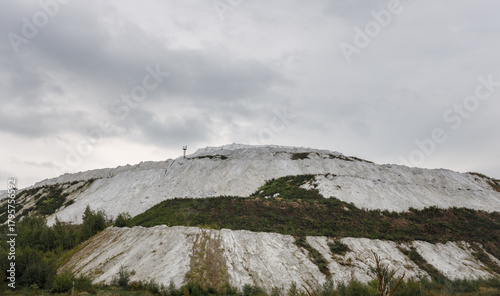 Mountain covered in snow with a few trees in the foreground