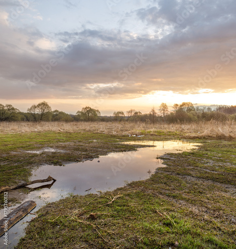 Field with a pond in the middle and a cloudy sky