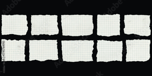 Collection of ripped graph paper scraps with grid pattern, isolated elements.