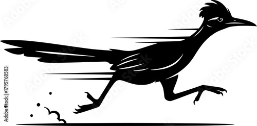 Cartoon roadrunner