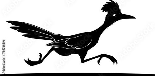 Cartoon roadrunner