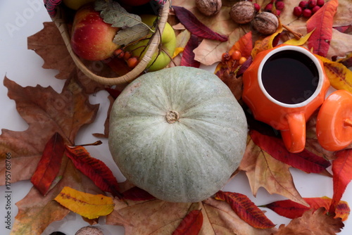 Colorful autumn composition on the white background.