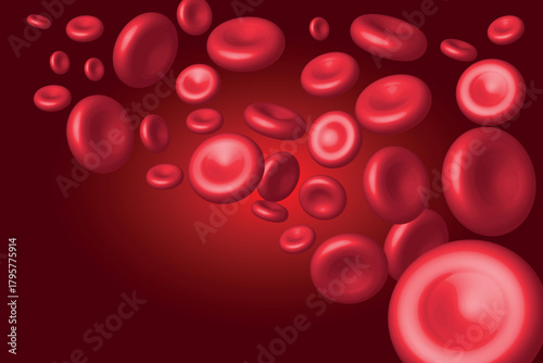 Red cells inside a vein