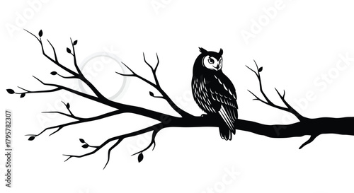 Owl perched on bare branch bird tree