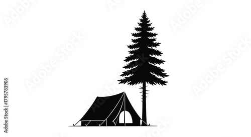 Tent beside tall evergreen tree camping outdoor