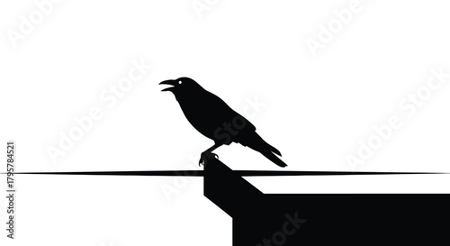 Black bird perched on wire crow raven