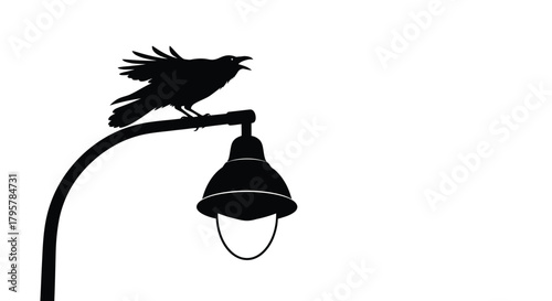 Black crow perched on lamppost bird silhouette