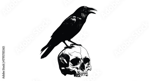 Black raven perched on white skull crow bird