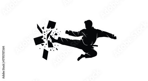 Martial artist kicking through abstract shape breaking