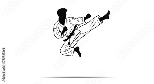 Martial artist performing flying kick karate arts
