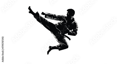 Martial artist performing high kick karate taekwondo