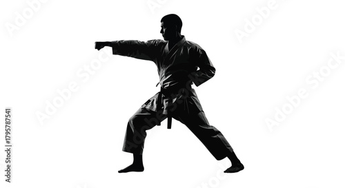 Martial artist performing punch karate