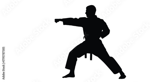 Martial artist striking pose silhouette
