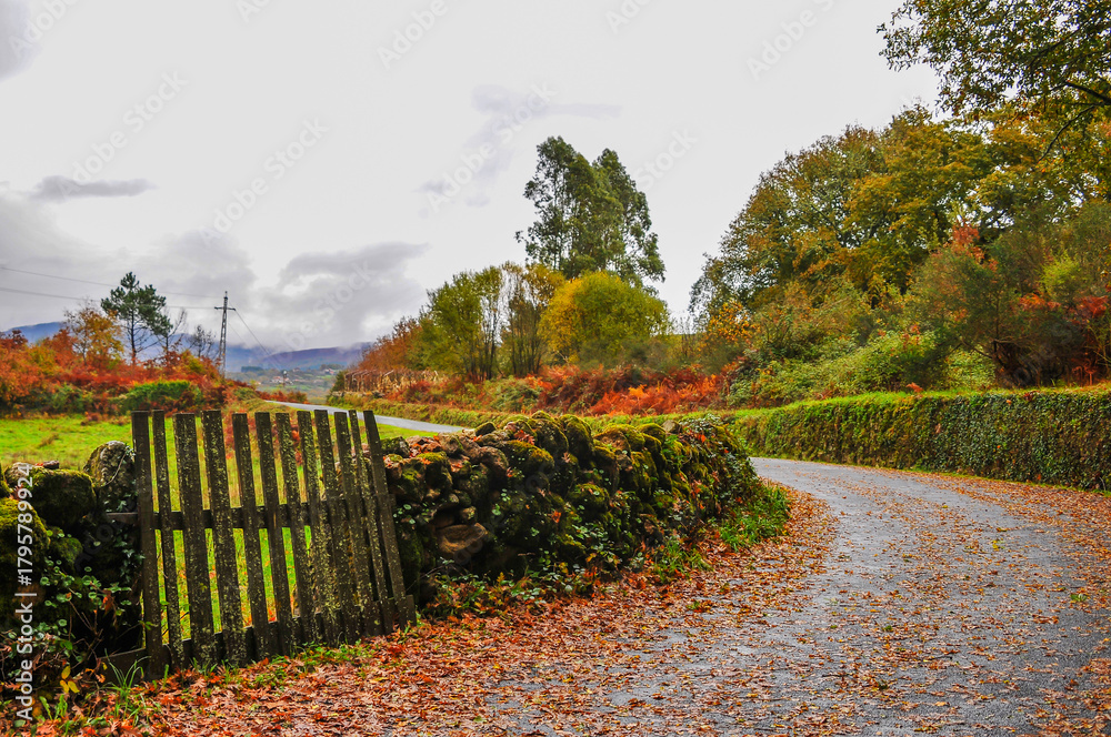 Fototapeta premium Landscape with warm autumn colors 