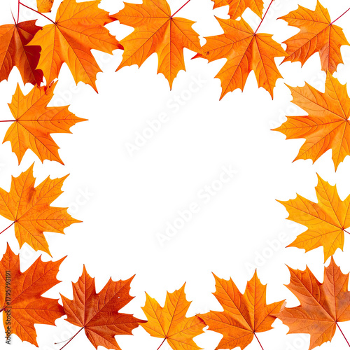 Maple leaves frame a dark void. Autumn colors abound