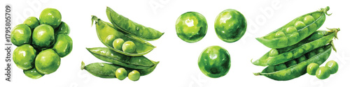 Green peas pods beans watercolor set isolated on transparent background