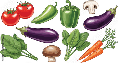 Fresh colorful vegetable illustration featuring tomatoes, peppers, eggplants, spinach, mushrooms, carrots, ideal for healthy food design