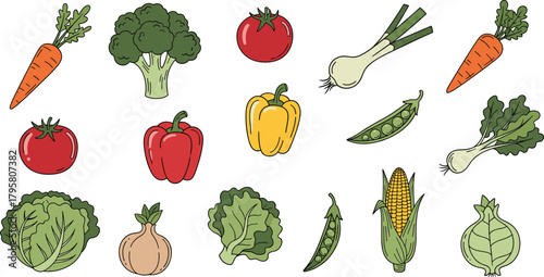Colorful fresh vegetable collection illustration featuring carrots, broccoli, tomatoes, peppers, corn, peas, onions, cabbage