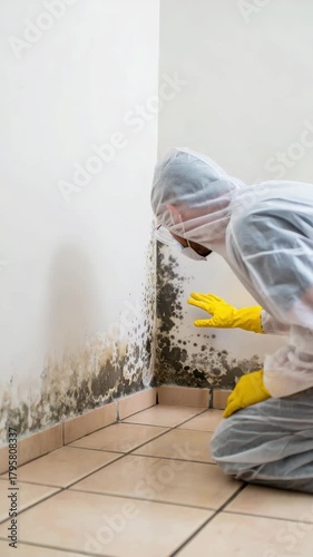 Inspector in protective suit examining mold on wall, mold remediation process, home health risk assessment, professional mold removal, safety equipment, indoor air quality inspection