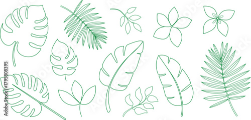 Summary  pair of tropical palm leaves.  Tropic tree leaves in a single continuous line art piece.  Editable monstera, flowery element with jungle foliage.  Vector illustration