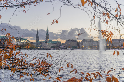 View through leaves of the Alster in autumn