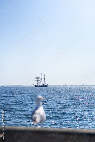 seagull and ship with blurred foreground
