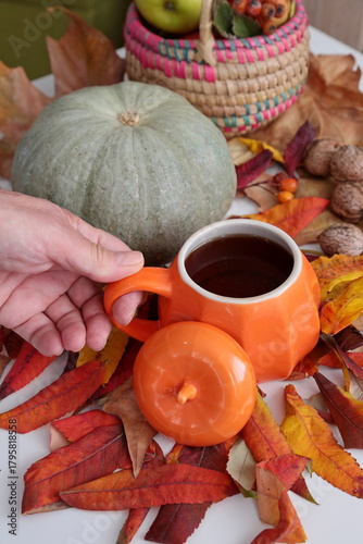 Autumn still life with pumpkin in the village.