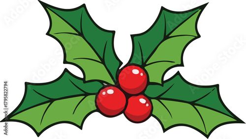 Holly branch with red berries