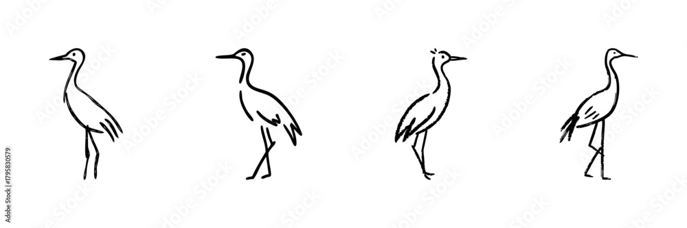 Naklejka premium Four Crane Bird Line Icons In Doodle Style. Elegant Bird Silhouettes, Wildlife And Nature Representation Outline Sketch Collection. Hand Drawn Isolated Vector Illustration