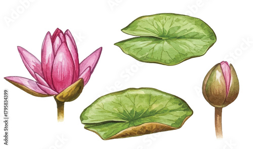 Adobe Illustrator Artwork