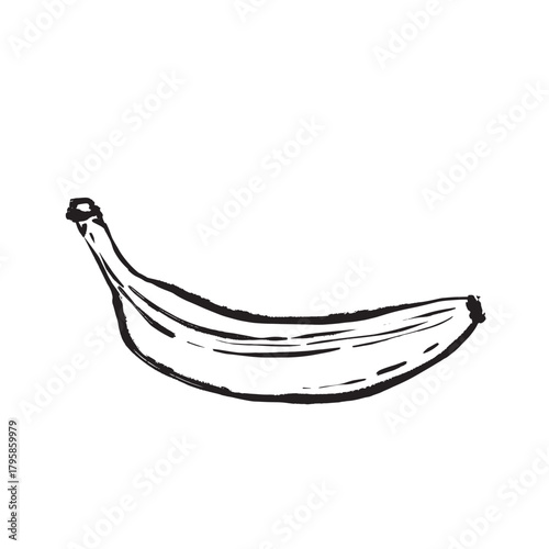 Drawing showcasing natural curve and health advantages of bananas